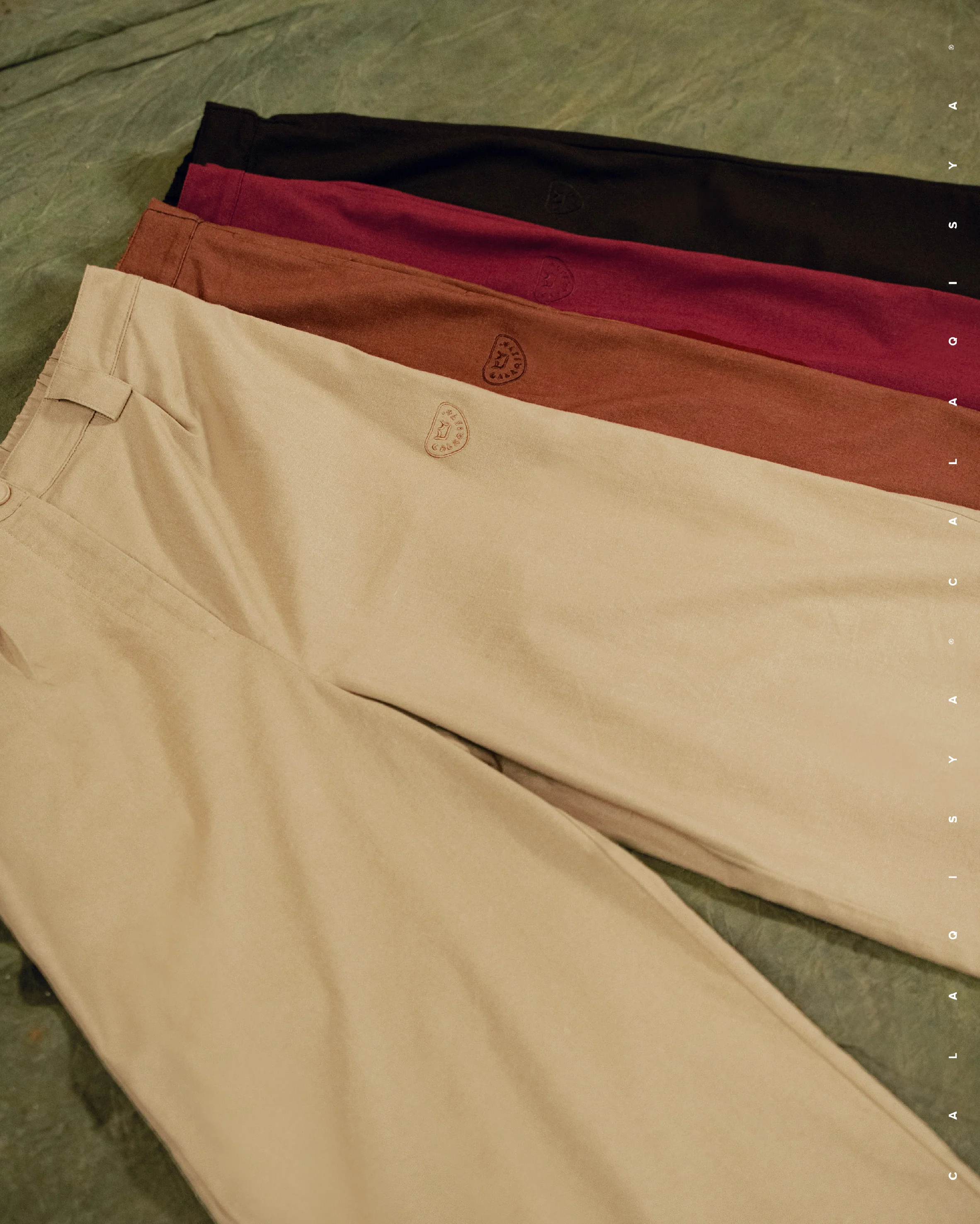 SEED PANTS IN CABERNET - Image 3